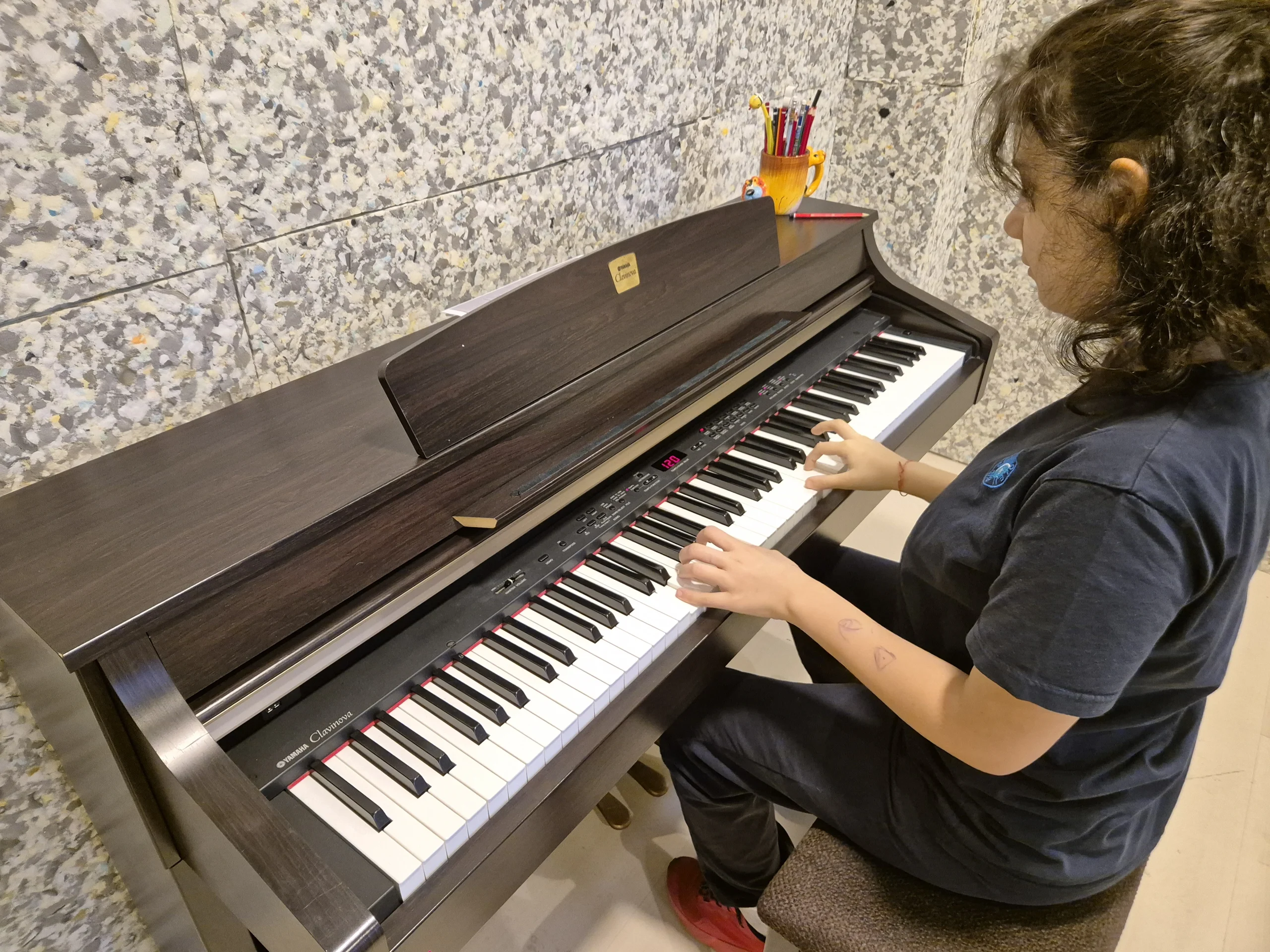 Atasehir Piyano Kursu - Alp Sanat